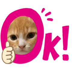 [LINEスタンプ] しんぱち＆ちょぱスタンプ