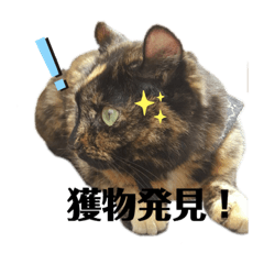 [LINEスタンプ] 我が家のみーこ