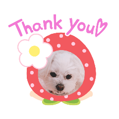 [LINEスタンプ] しろいふわふわんわん