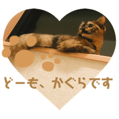[LINEスタンプ] かぐらです。