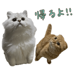 [LINEスタンプ] おサニとピース2