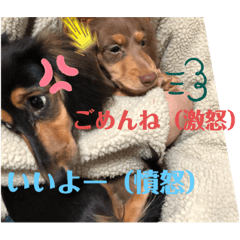 [LINEスタンプ] カニヘンダックスズ