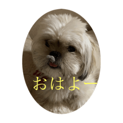 [LINEスタンプ] まる×ペキ むぎちゃん