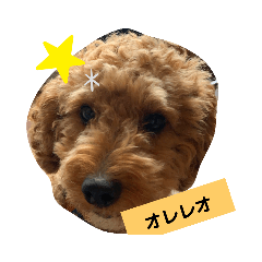 [LINEスタンプ] 俺とオレ