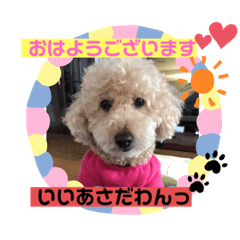 [LINEスタンプ] ぷーすけスタンプ2