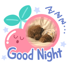[LINEスタンプ] むーちゃんといっしょ