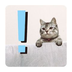[LINEスタンプ] ころもずくのスタンプ2