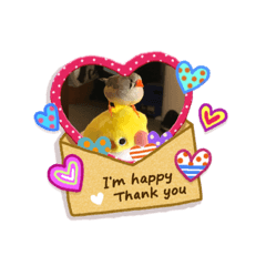 [LINEスタンプ] 黒豆ちゃんと絶景と野生の鳥のスタンプ