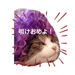 [LINEスタンプ] 俺スタンプ  SP(お正月編)