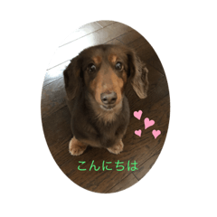 [LINEスタンプ] 我が家のプリンセス1