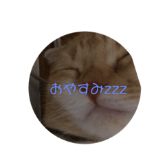 [LINEスタンプ] とってもかわいいメル
