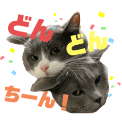 [LINEスタンプ] こまちょば