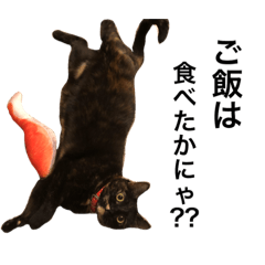 [LINEスタンプ] 飼い猫あいにゃん