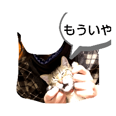 [LINEスタンプ] らいこ
