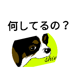 [LINEスタンプ] 夜桜スイレンの気まぐれスタンプ