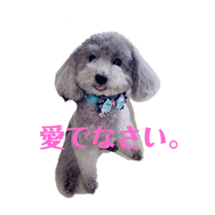 [LINEスタンプ] 貴殿あすお