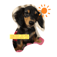 [LINEスタンプ] るりーさんのスタンプ