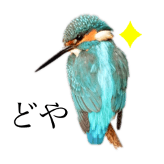 [LINEスタンプ] きょんのスタンプ(野鳥と花)