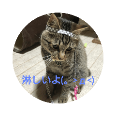 [LINEスタンプ] 虎太郎＆蘭丸