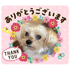 [LINEスタンプ] しずちゃんといっしょ♩