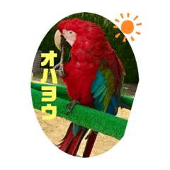 [LINEスタンプ] ばなばーばの動物スタンプ