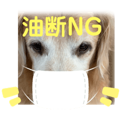 [LINEスタンプ] ゴールデンレトリーバーASLANスタンプVOL.1