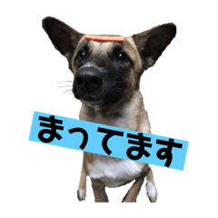 [LINEスタンプ] のん♀_001