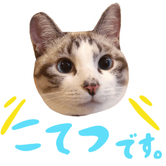 [LINEスタンプ] こてつのスタンプVol.2