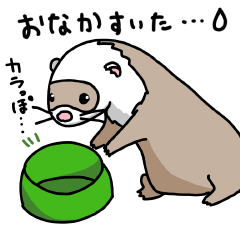 [LINEスタンプ] フェレットののいちゃん