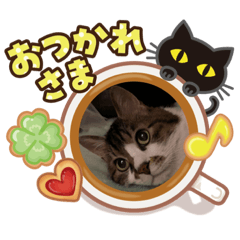 [LINEスタンプ] かわいい？りんたろうスタンプ