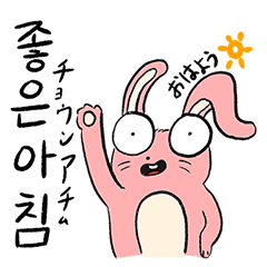 [LINEスタンプ] 超愛らしいナムトキちゃんと韓国語