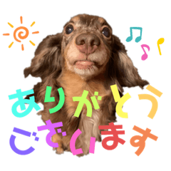 [LINEスタンプ] べべとミルと時々チャイ