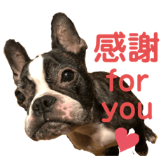 [LINEスタンプ] フレブルのアンジュ2