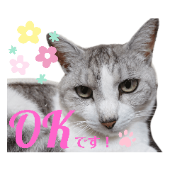 [LINEスタンプ] ひぃと花子②