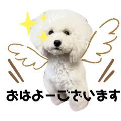[LINEスタンプ] アビ子スタンプ