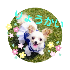[LINEスタンプ] なっつスタンプ♡ちわぷー