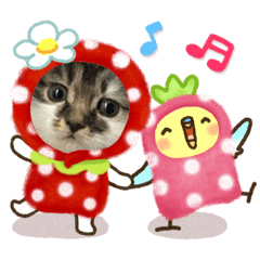 [LINEスタンプ] 子猫ちゃん(animal)