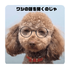 [LINEスタンプ] 良い犬 三重子さんがコメント