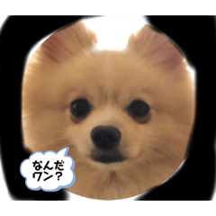 [LINEスタンプ] プウ太郎