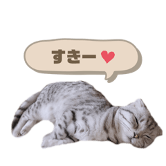 [LINEスタンプ] たぬもた⑦