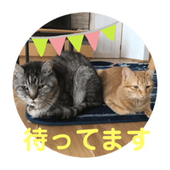 [LINEスタンプ] トトコムギ