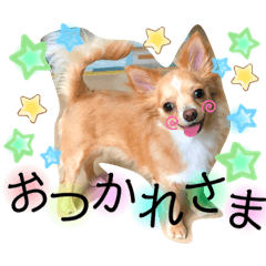 [LINEスタンプ] ウルルルル