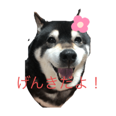 [LINEスタンプ] さくandふく
