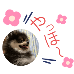 [LINEスタンプ] ミロスタンプ③
