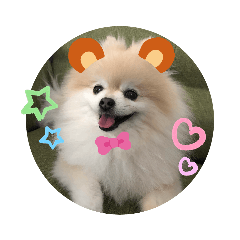[LINEスタンプ] ポメポメスタンプ3