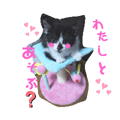 [LINEスタンプ] ハナとウランの日常（ちびっ子ver）