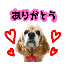 [LINEスタンプ] イブちゃんの日常2