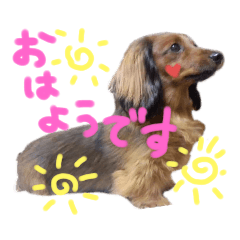 [LINEスタンプ] マロンちゃんスタンプ♡♡♡