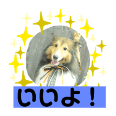 [LINEスタンプ] チェロ スタンプ