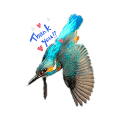 [LINEスタンプ] Happy BirdWatching ！？ 3